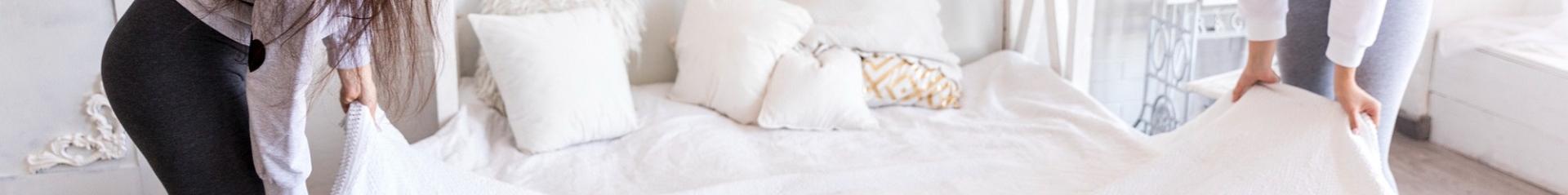 solutions punaise de lit