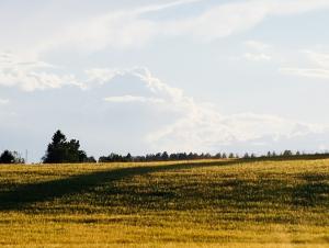 acheter un bien à la campagne