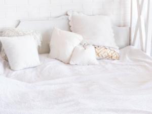 solutions punaise de lit